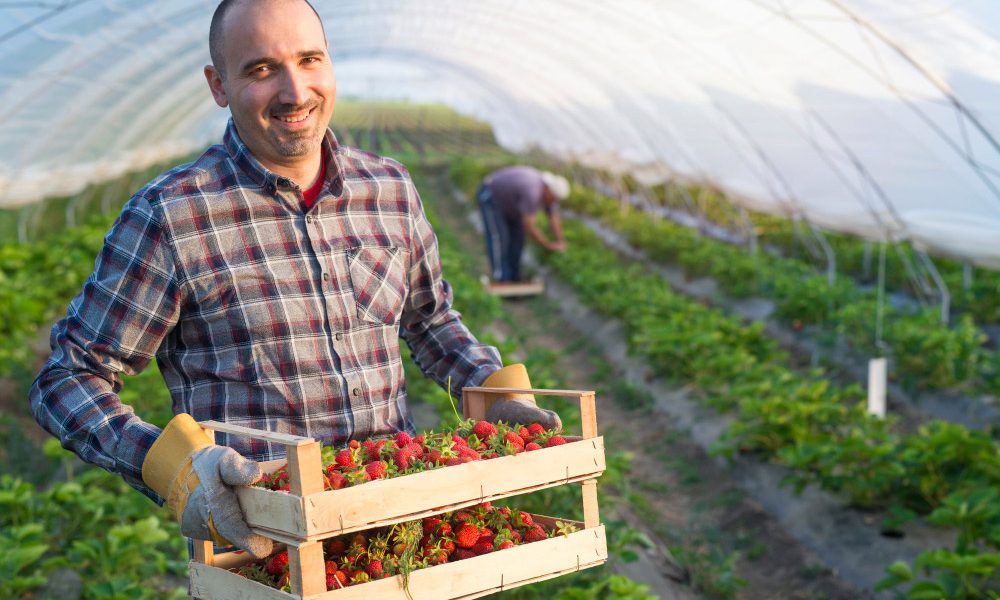 Pourquoi acheter vos produits dans une ferme locale ? 