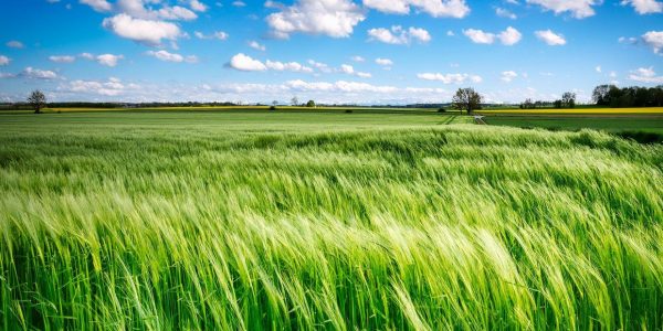 Trouver un distributeur spécialisé pour les exploitations agricoles