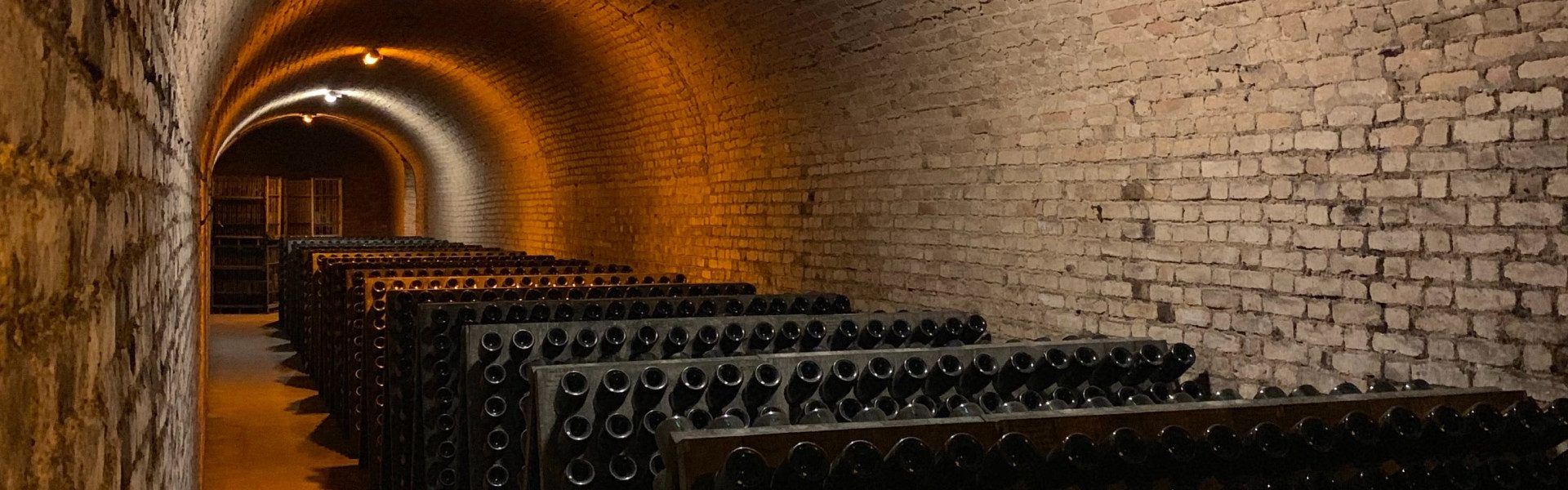 Découvrez les secrets de la cave à vin : plongez dans l'univers du terroir !