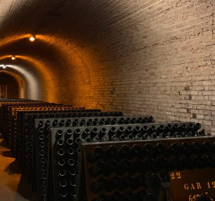 Découvrez les secrets de la cave à vin : plongez dans l'univers du terroir !