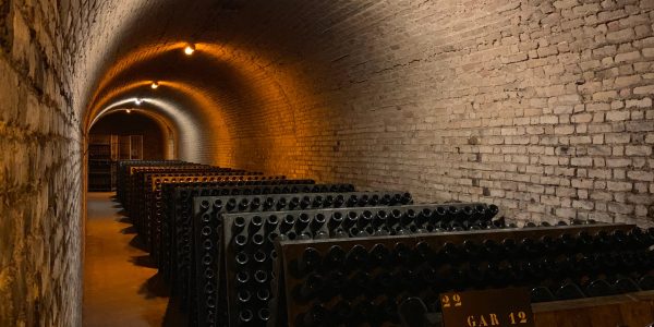Découvrez les secrets de la cave à vin : plongez dans l'univers du terroir !