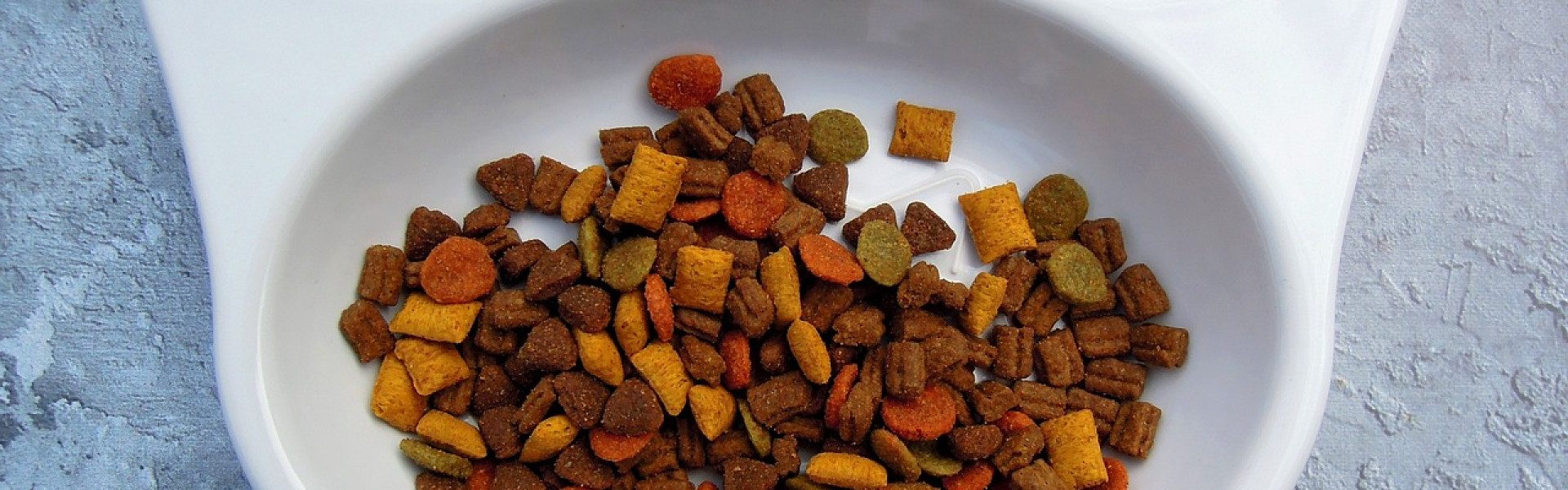 Faites le choix d'une alimentation équilibrée pour votre chat