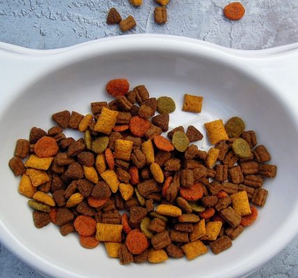 Faites le choix d'une alimentation équilibrée pour votre chat