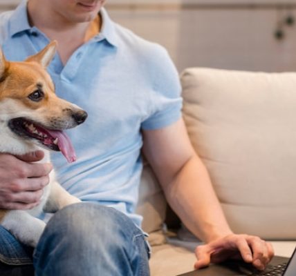 Soins, prévention, sérénité : l’assurance santé animale expliquée